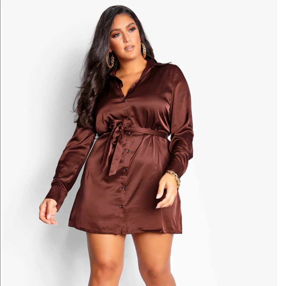 Brown Satin button up dress